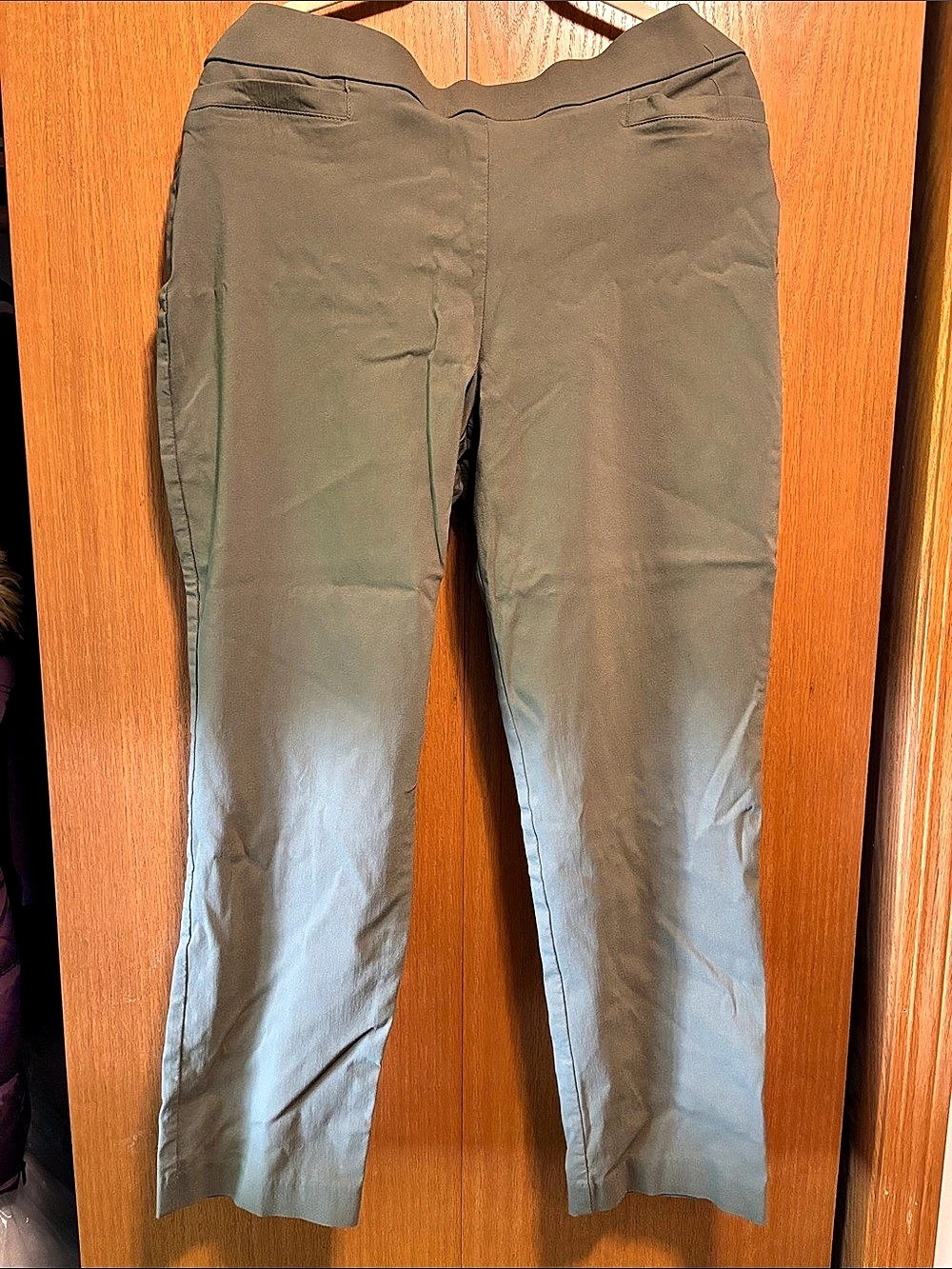Jones New York Collection Straight Leg Pants in Green Size XL